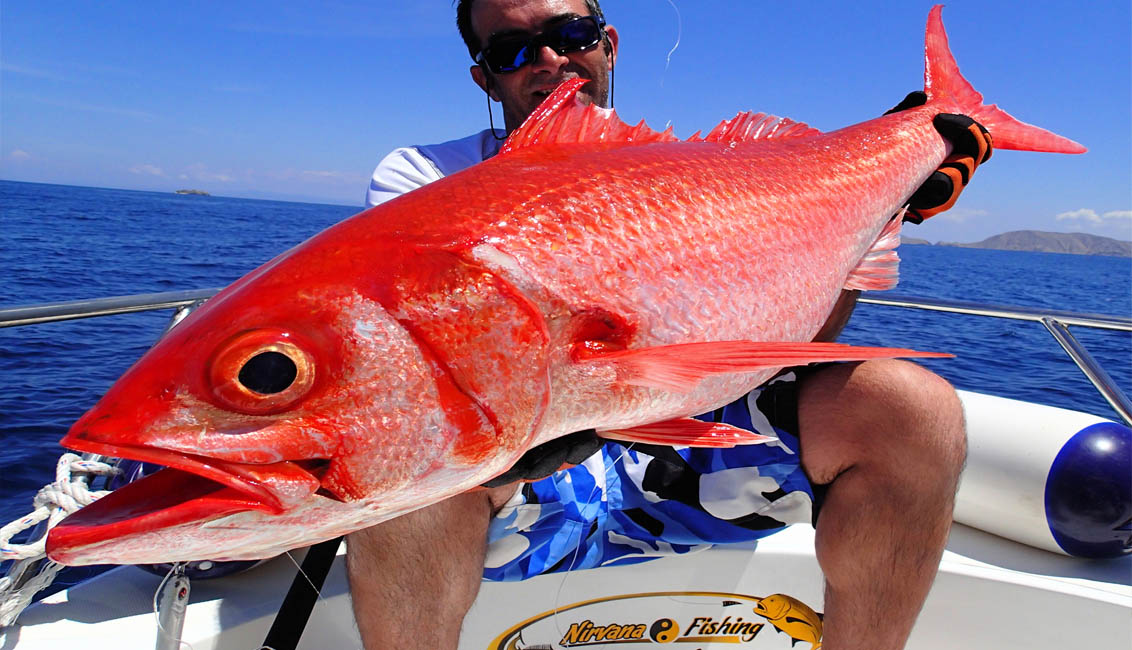 pêche spécialisé madagascar