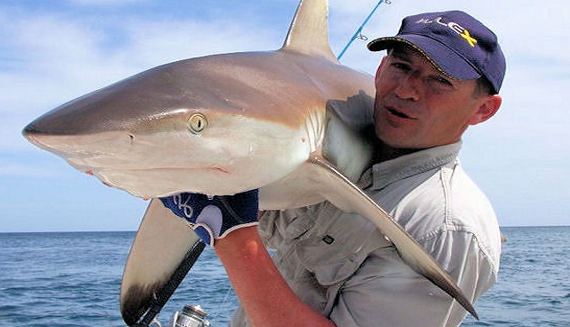 pêche au requin